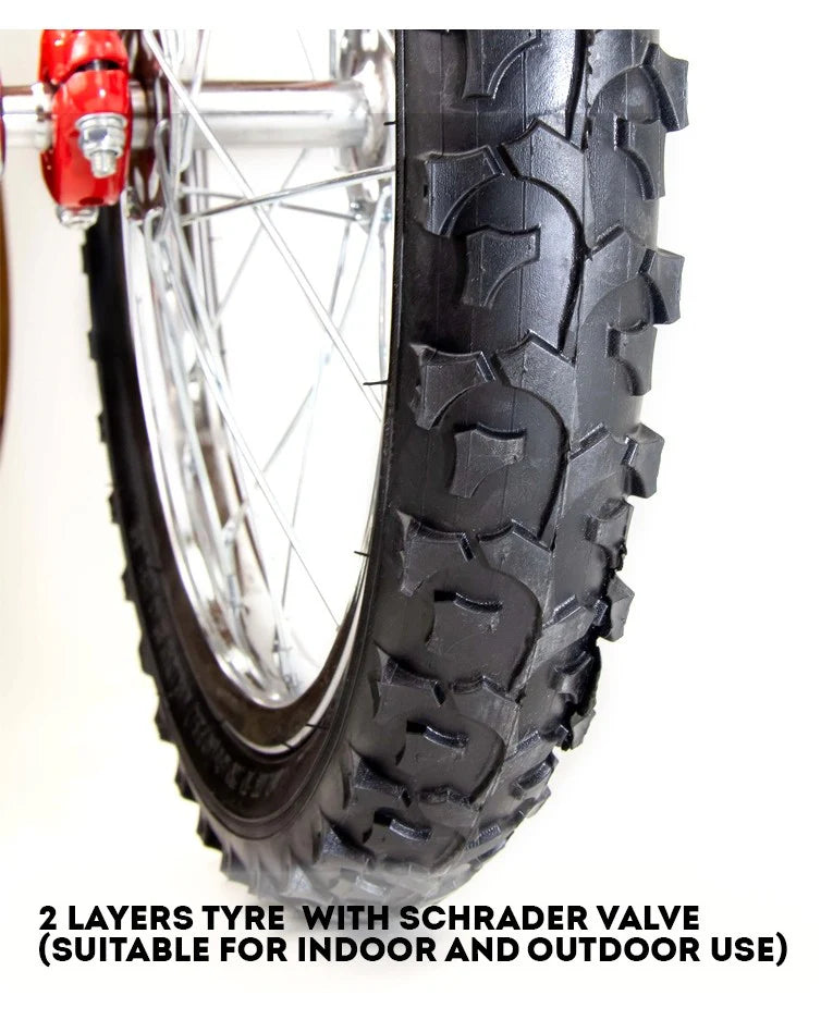 Indy Deluxe 20" Unicycle